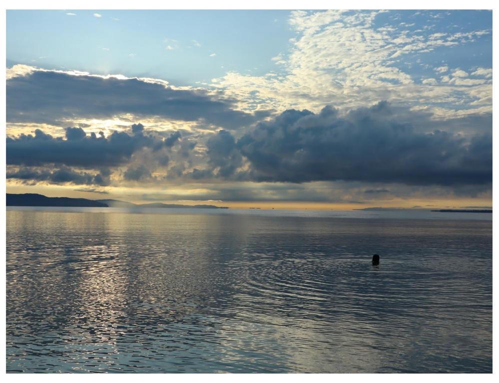Terrazas Del Golfo Hotell La Palma Eksteriør bilde